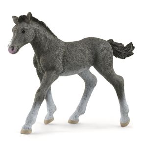 SHL13944 - Potro Trakehnen