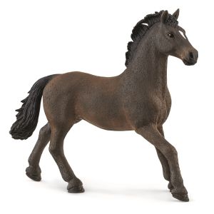 SHL13946 - Semental de Oldemburgo