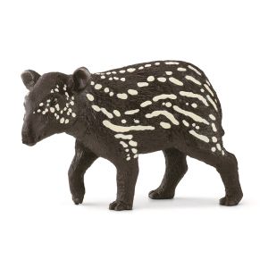 SHL14851 - Buitre