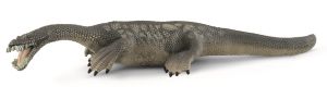 SHL15031 - notosaurio