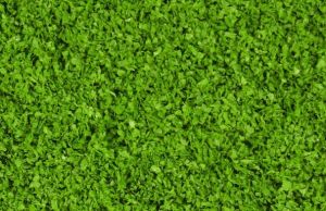 HEK15151 - Follaje verde medio 200 ml
