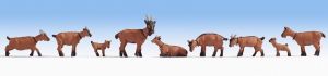NOC15752 - Cabras