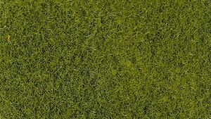 HEK3364 - Bolsa de 50 g de flocado verde claro de 2-3 mm