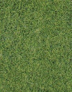 HEK1870 - Alfombra de hierba salvaje verde prado 40 x 24 cm