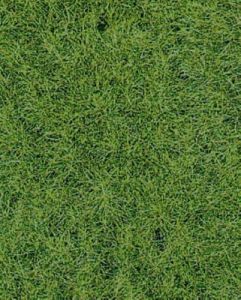 HEK1871 - Alfombra de hierba silvestre Woodland 40 x 24 cm