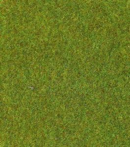 HEK30800 - Alfombra de césped verde claro - 40x24 cm