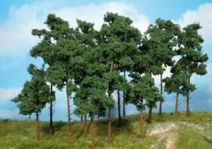 HEK1953 - 9 Pinos 10-16 cm