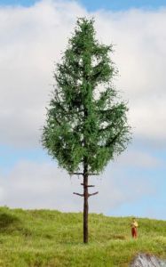 NOC20196 - Picea de fuste alto, 21 cm