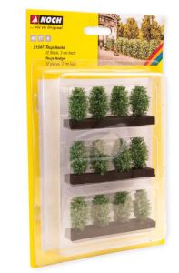 NOC21547 - Seto de tuya de 3 cm