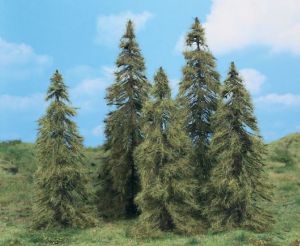 HEK2176 - 5 alerces de 14-18 cm