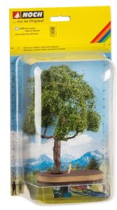 NOC21768 - Árbol con un columpio de micromovimiento