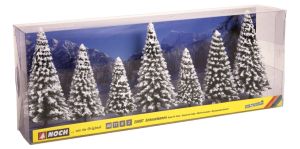 NOC25087 - 7 abetos cubiertos de nieve