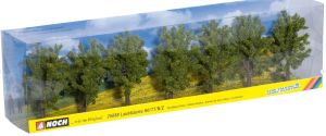 NOC25088 - 7 árboles de hoja caduca, 8 cm