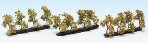 NOC21532 - 12 Plantar árboles con manzanas