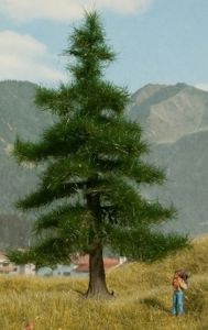 NOC21810 - Árbol Nordmann 12 cm