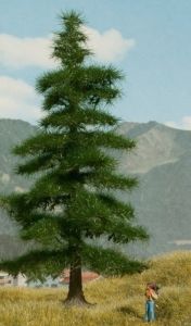 NOC21811 - Árbol Nordmann 14;5 cm