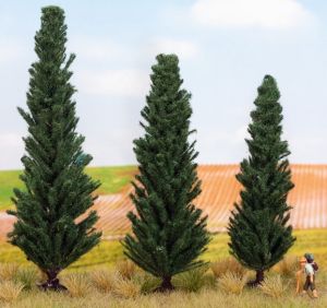 NOC21998 - 3 Ciprés 10; 11 y 13 cm