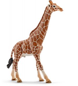 SHL14749 - jirafa macho
