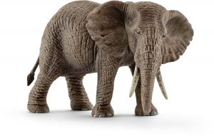 SHL14761 - elefante africano hembra