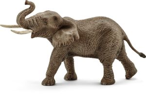 SHL14762 - elefante africano macho