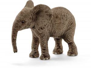 SHL14763 - Bebé Elefante Africano