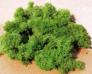 HEK3219 - Líquenes verdes claros 75 g