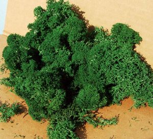 HEK3220 - Líquenes verdes oscuros 75 g