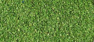 HEK3301 - Material para flocar verde claro - 40 g