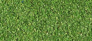 HEK3312 - Material para flocar verde claro - 85 g