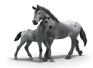 SHL42776 - Entrenamiento de torneo de Lisa