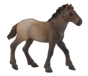 BUL62734 - potro camargue
