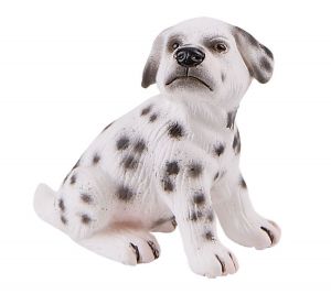 BUL65426 - cachorro dálmata