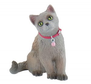 BUL66372 - gato ruso