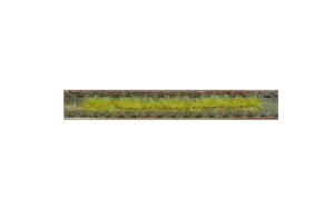 HEK1812 - Pack de 10 tiras de césped otoñal 10 cm
