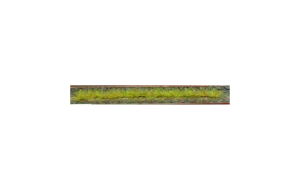 HEK1810 - Pack de 10 tiras de hierba primavera 10 cm