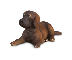 COLL88065 - Cachorro de gran danés acostado