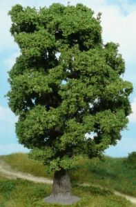 HEK1940 - Roble 18 cm