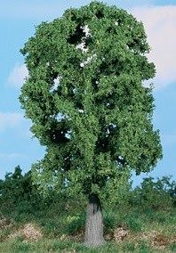 HEK1987 - Roble 20 cm
