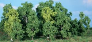 HEK1992 - 14 Árboles de hoja caduca 5-12 cm