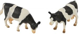 KID571873 - 2 vacas HOLSTEIN de pie