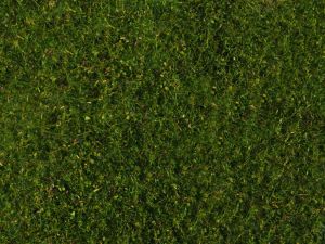 NOC07291 - Follaje de pradera; verde medio 20 x 23 cm