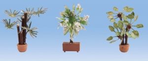 NOC14023 - plantas mediterraneas