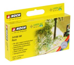 NOC14100 - Set de 9 helechos