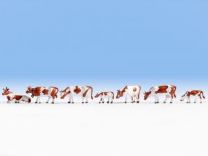 NOC15723 - vacas Montbéliard