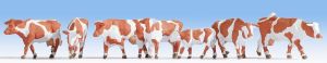 NOC15726 - vaca montbéliard