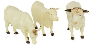 BRI43240 - 3 vacas Charolais