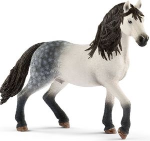 SHL13821 - semental andaluz