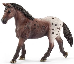 SHL13861 - Yegua Appaloosa