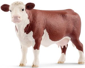 SHL13867 - vaca hereford