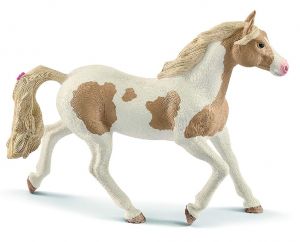 SHL13884 - yegua pintura caballo